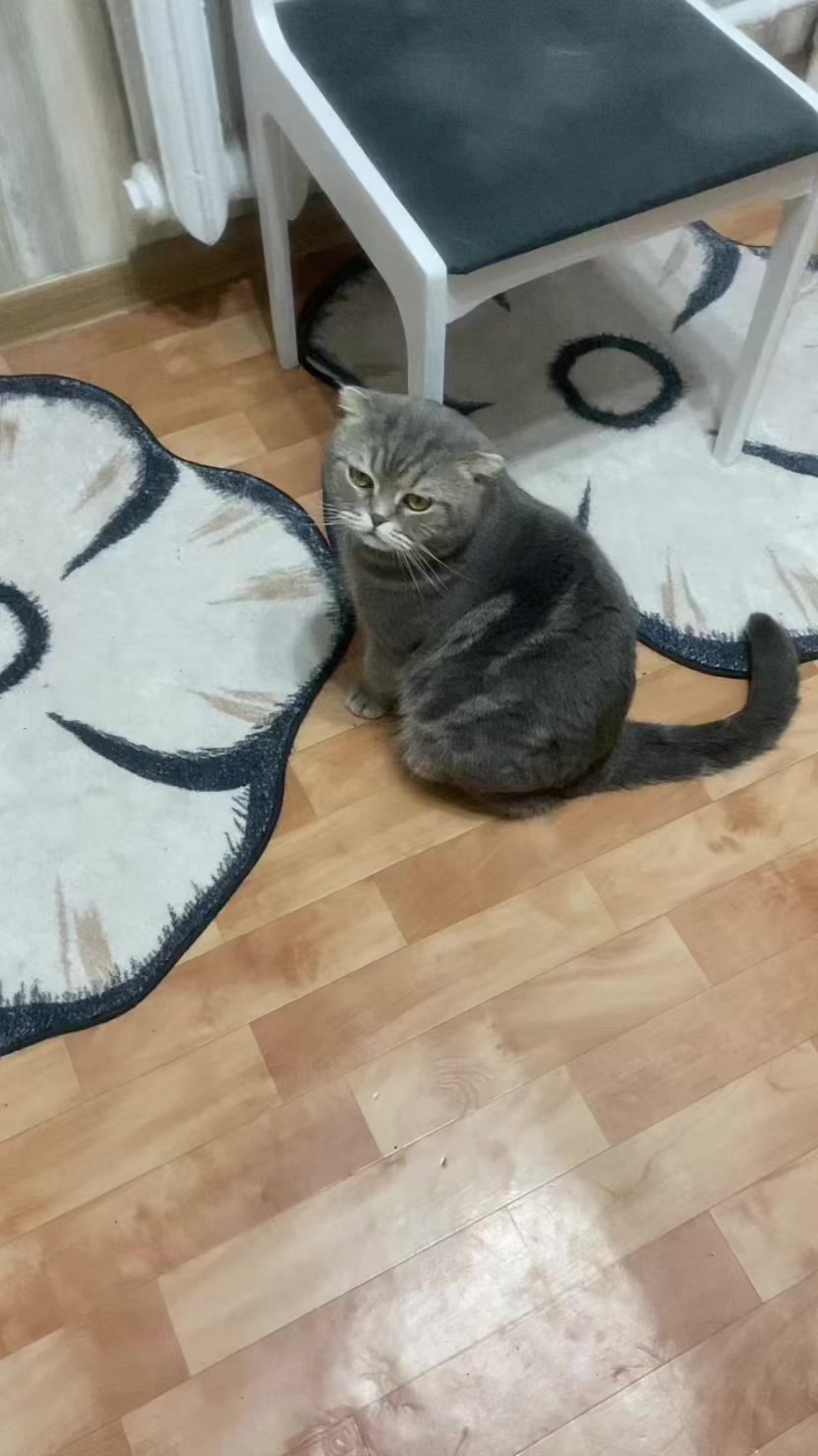 @Елена Николаева
