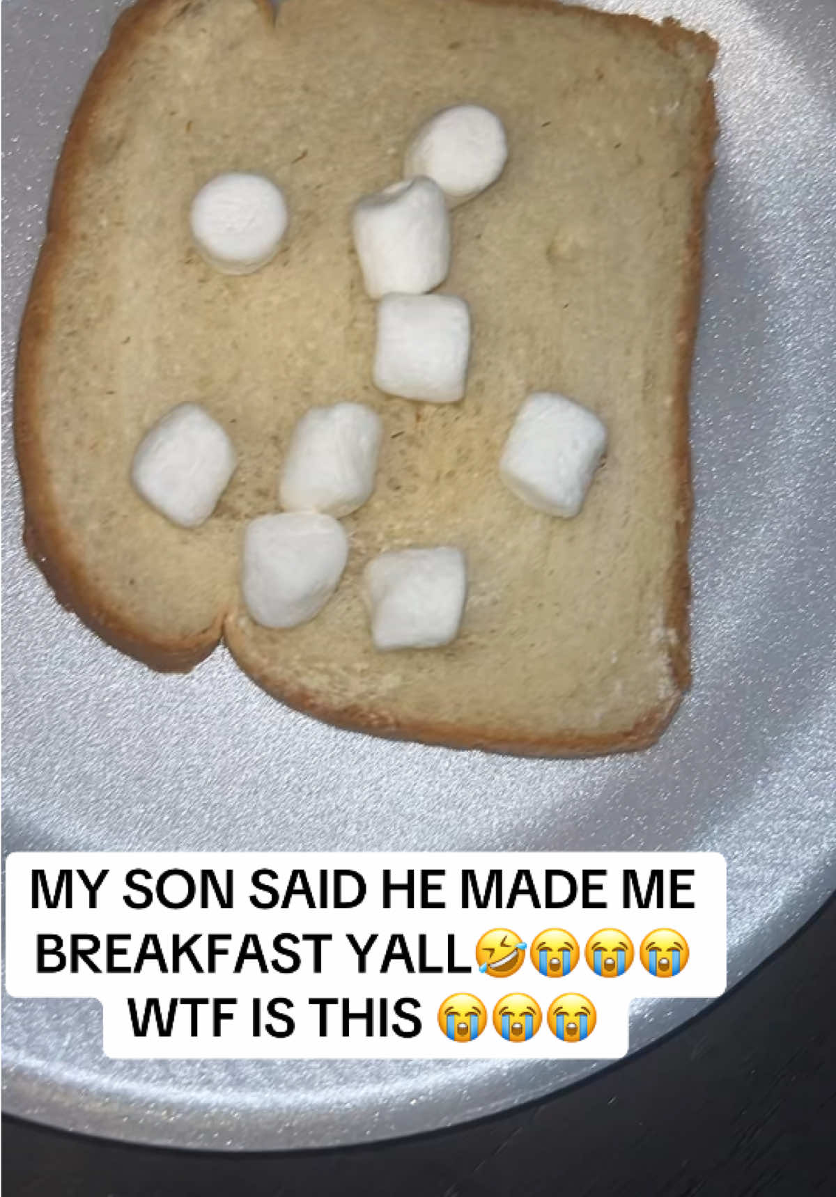 @bbwykthevibesho