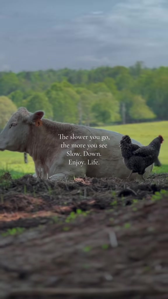 @Heavenly_Homestead