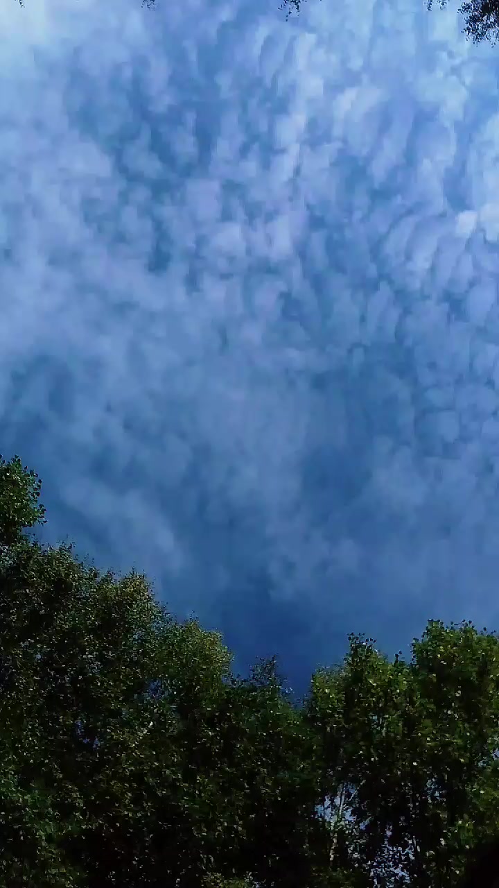 @Балыкчы Малай