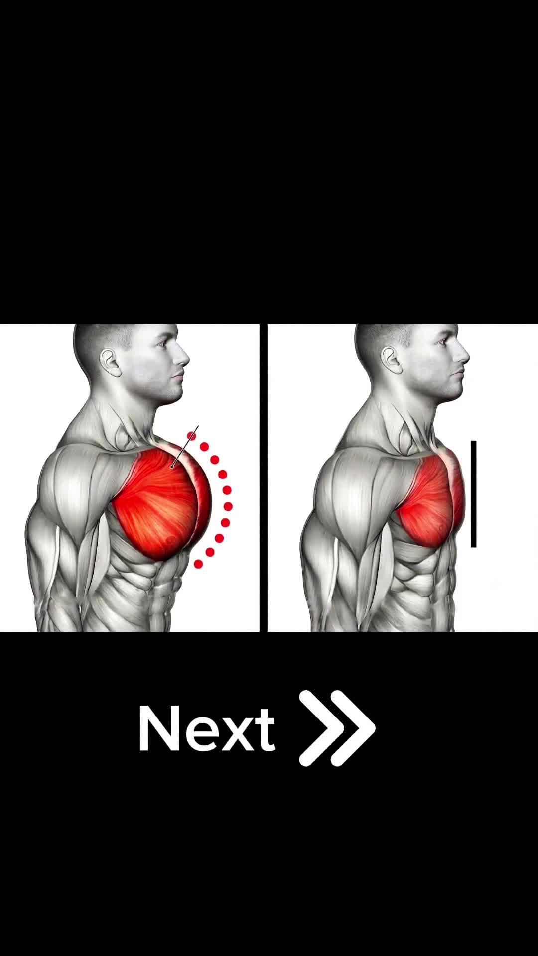 @Mendy Fitness