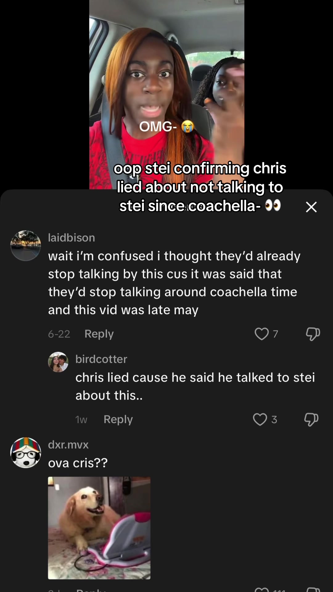 @birdcotter
