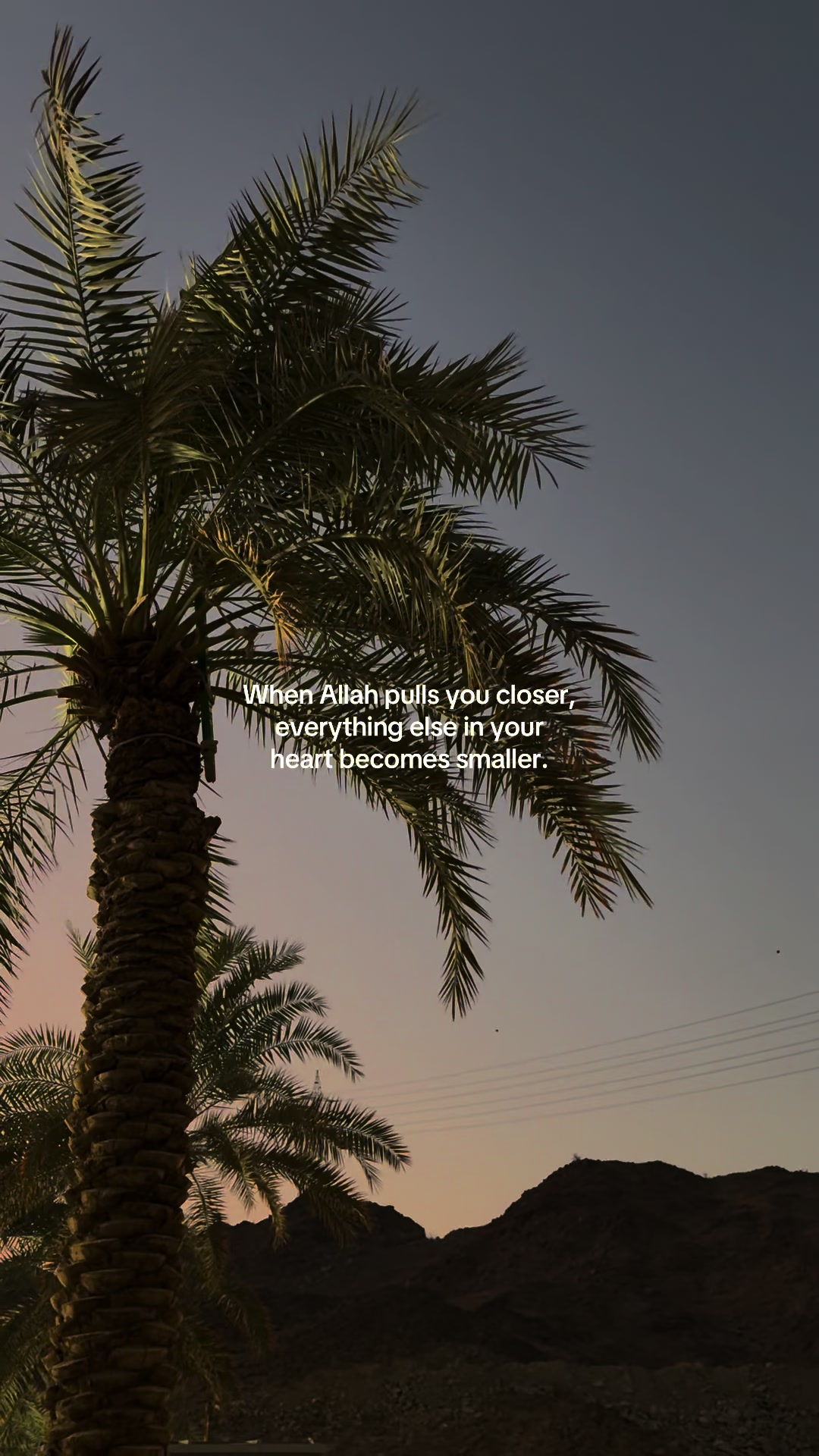 @بنت القمر 🌙