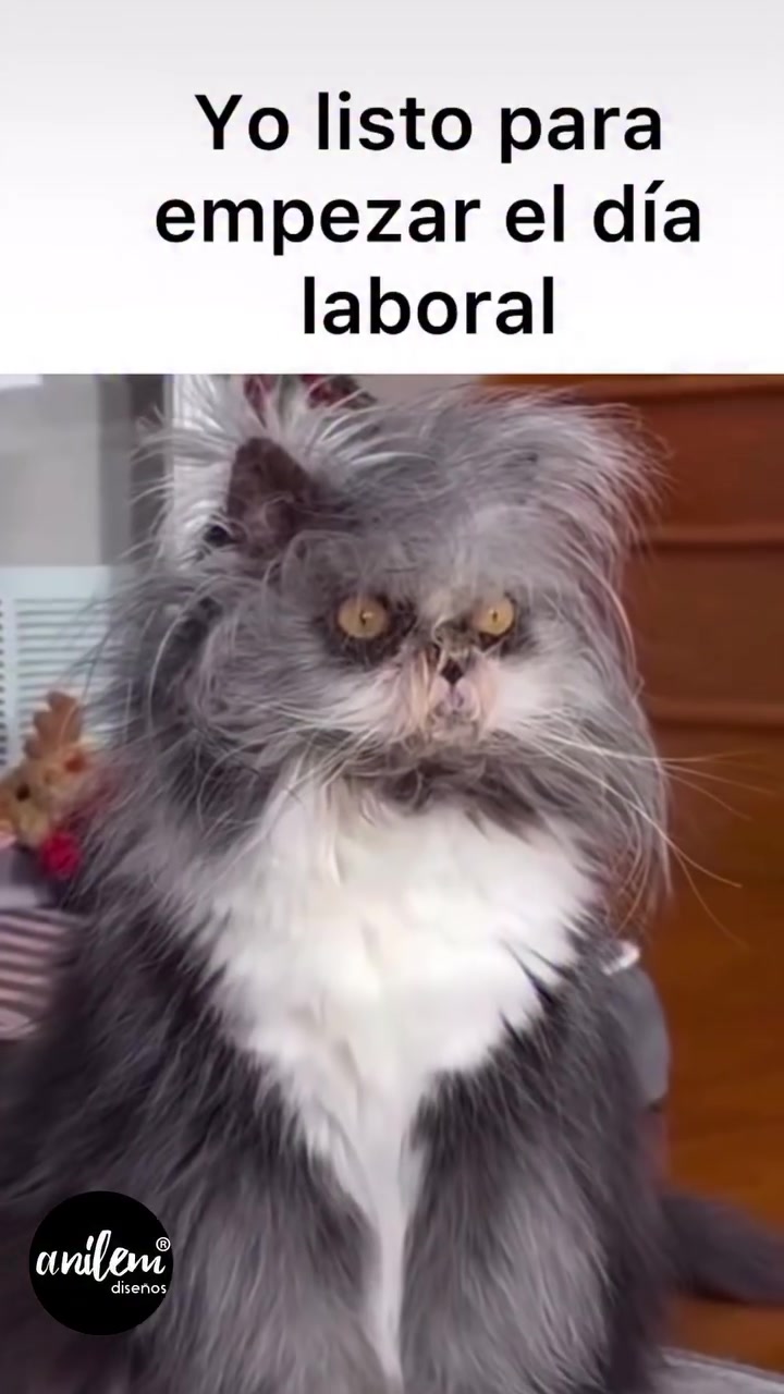 @꧁༒⫷ÐΛЯíФ ÐΛVłÐ ⫸༒꧂