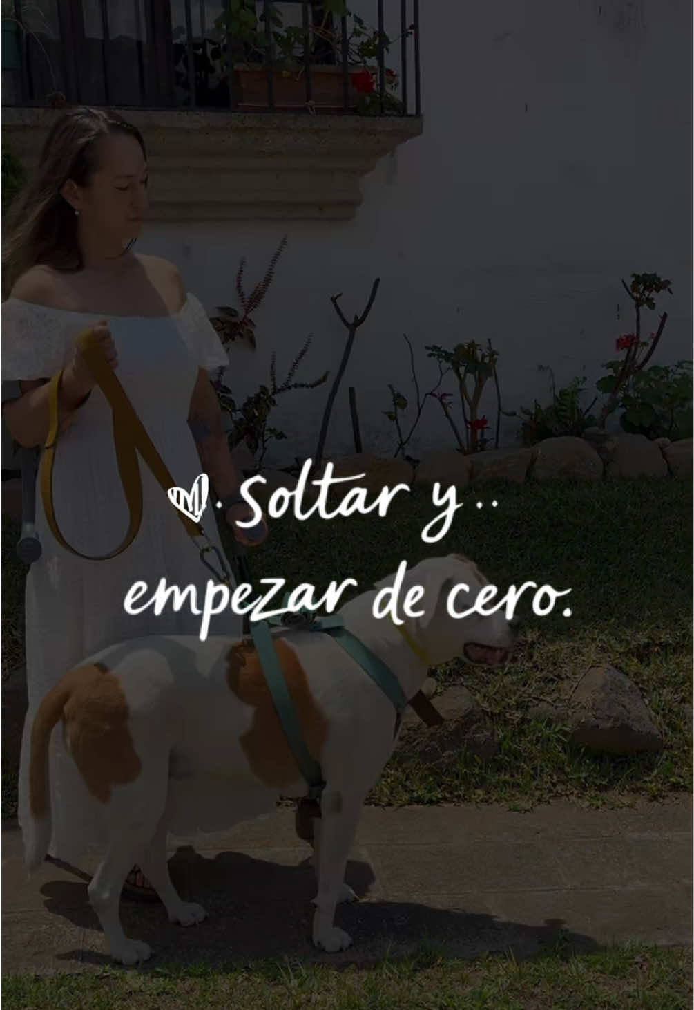@verabrennercorzo