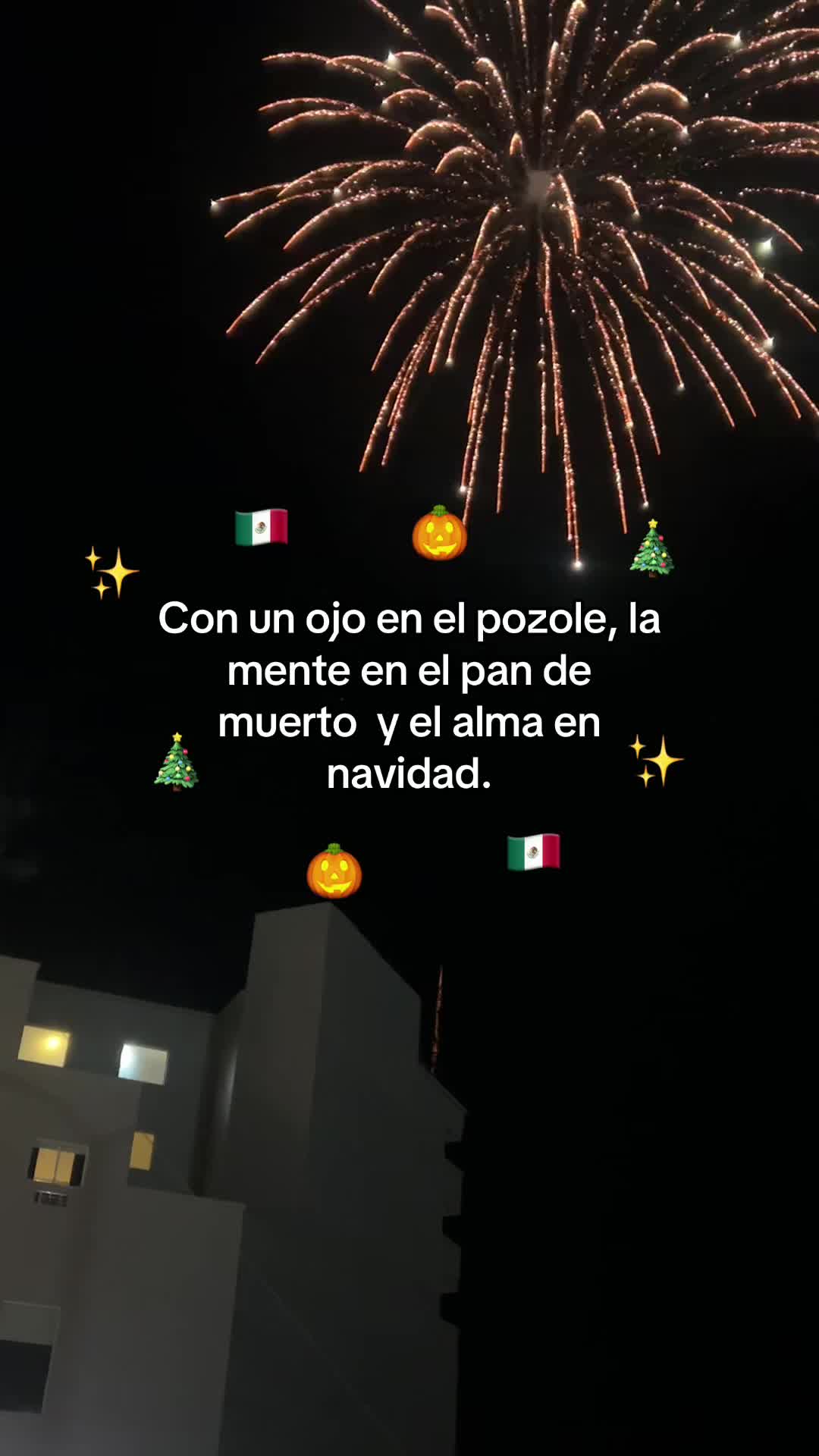 @Xoloyoxi Luna 🌙
