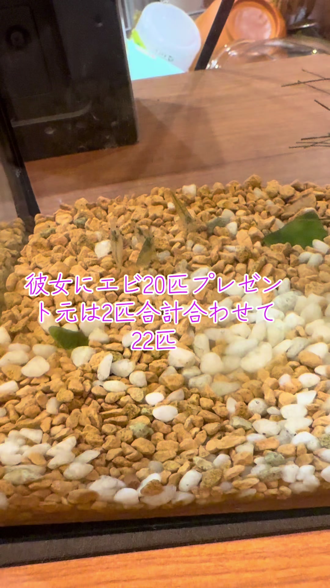 @高崎駅のやばいフリーザBOY🧑&zwj;🏫🍕🥤(群馬)