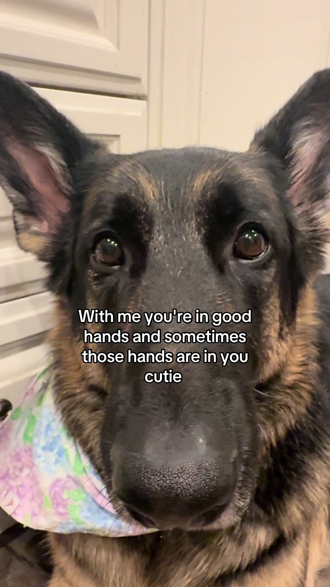 @Bhris