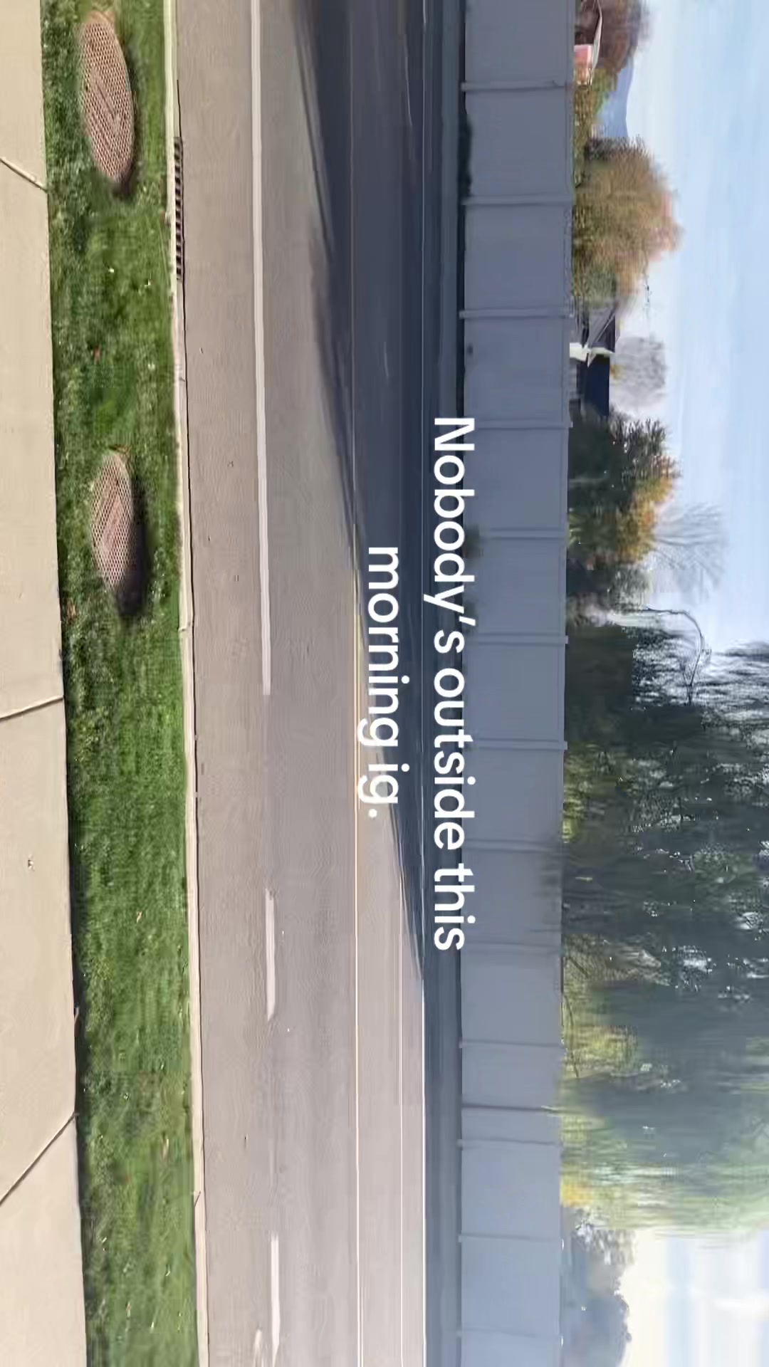 @🦓🥝🦓🦓🦓