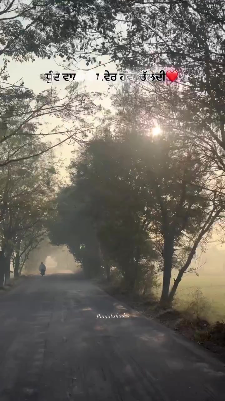 @punjabshades