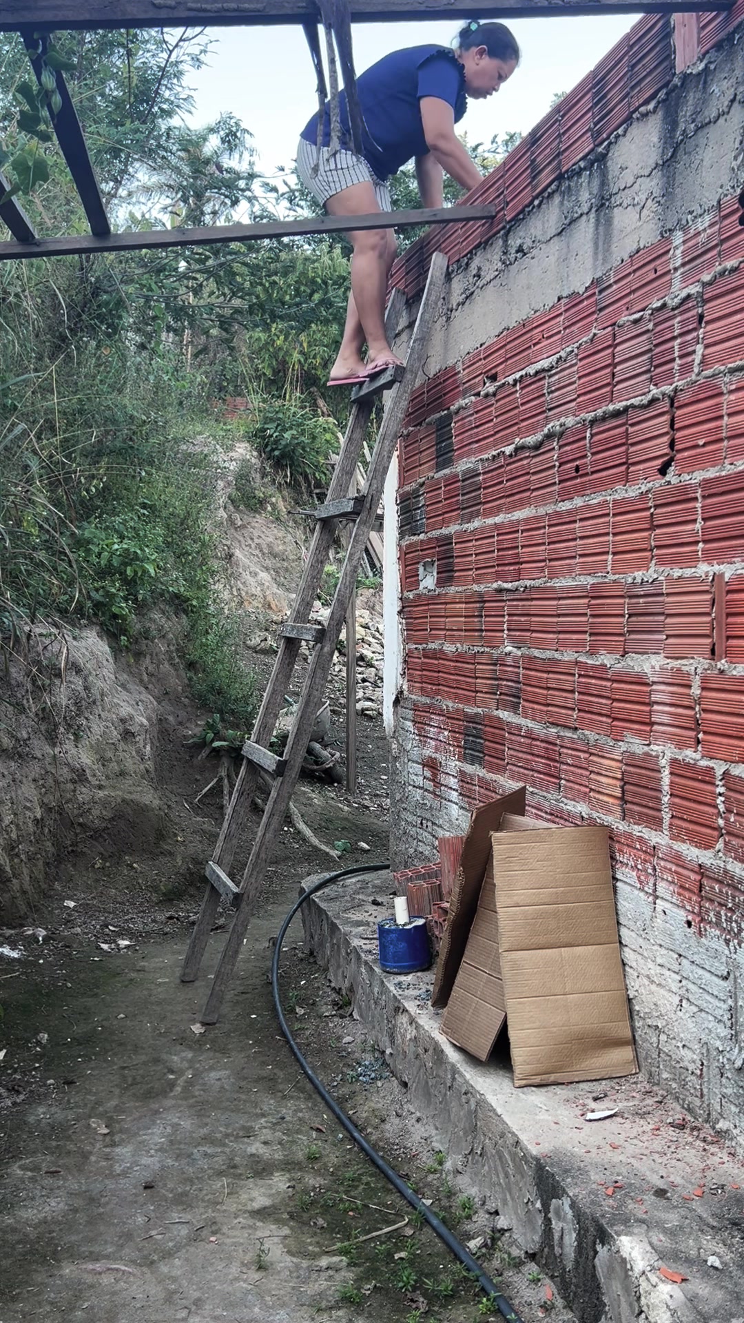 @Ad&atilde;o Oficial
