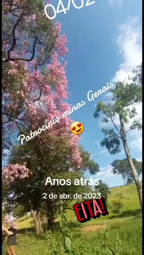 @aparecidamachado303