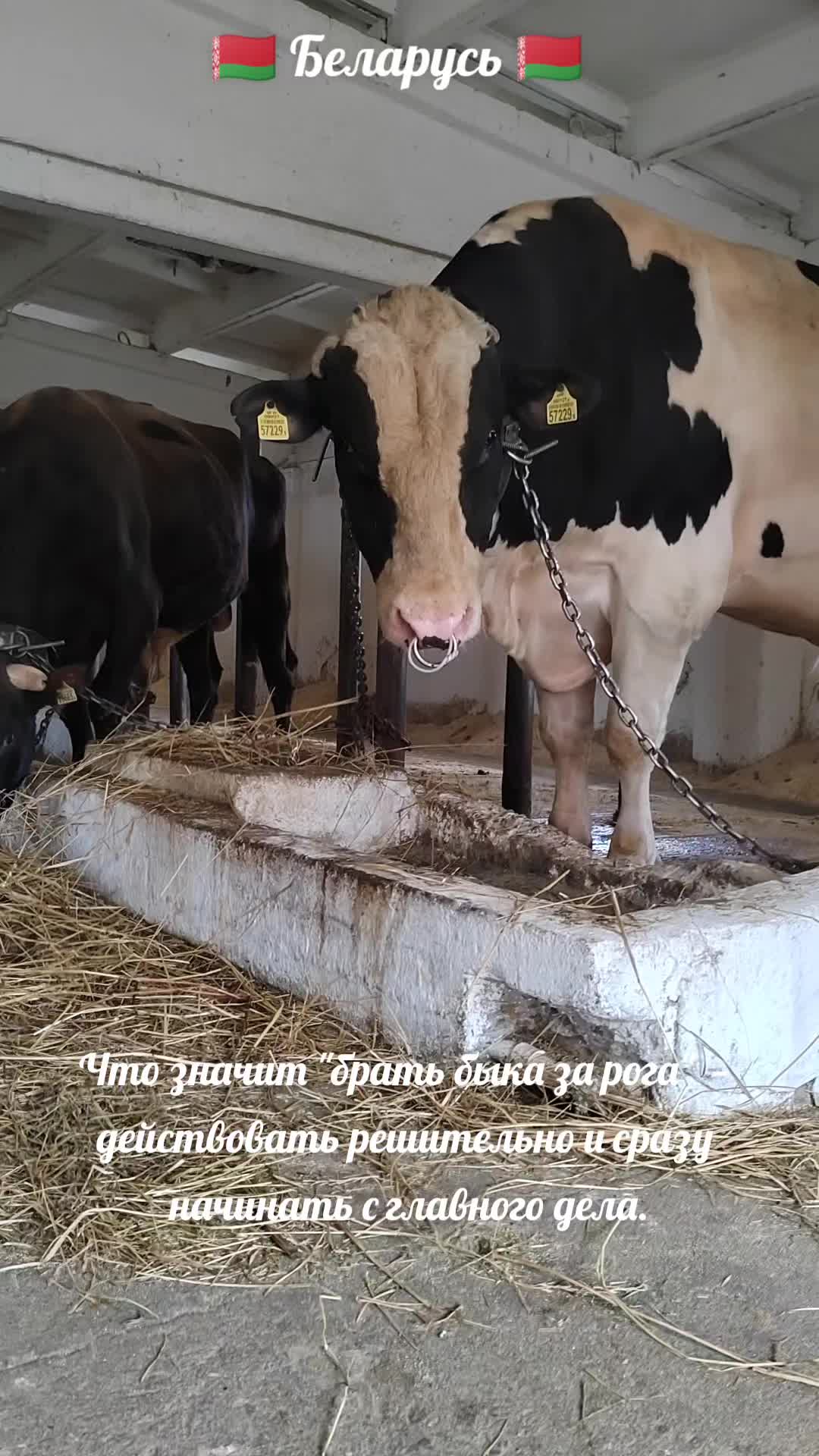 @Андрей Кузьмин Орша 🇧🇾