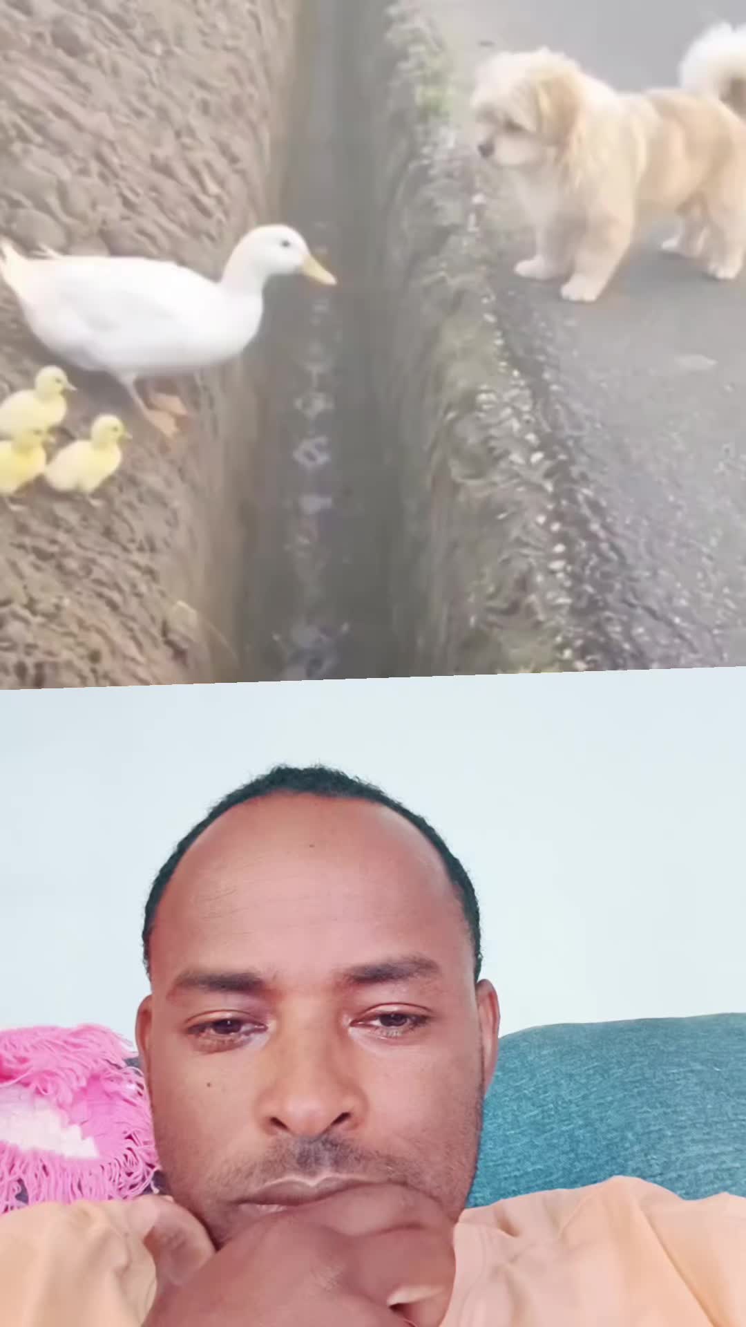 @Jaredo