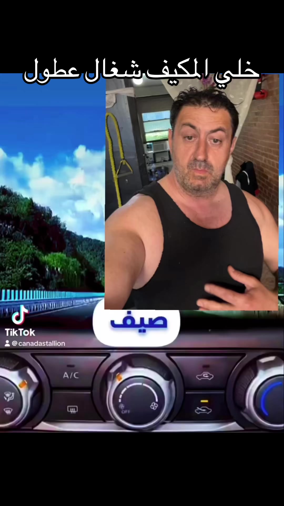 @Canadastallion 🇨🇦 الأصيل