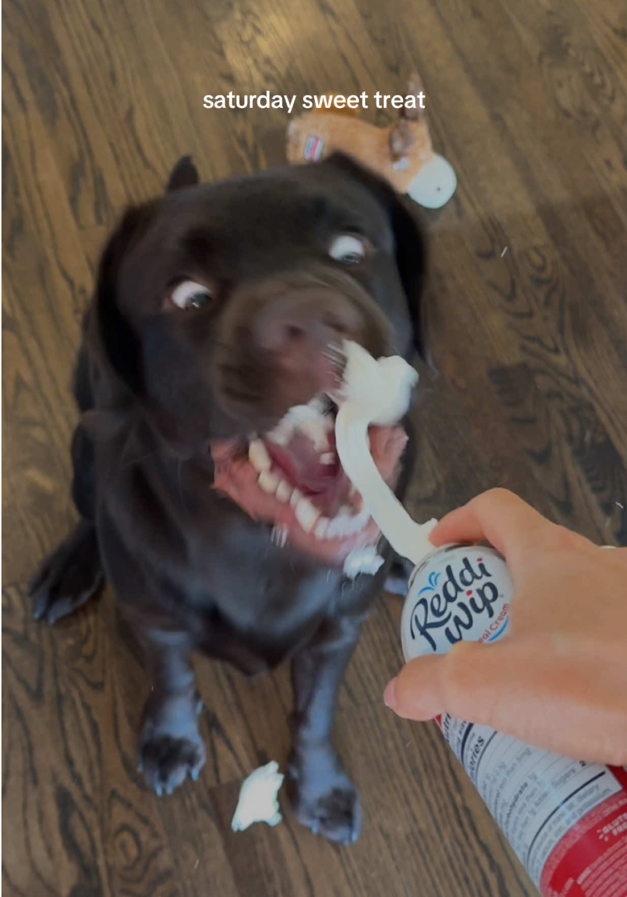@chipthechonk