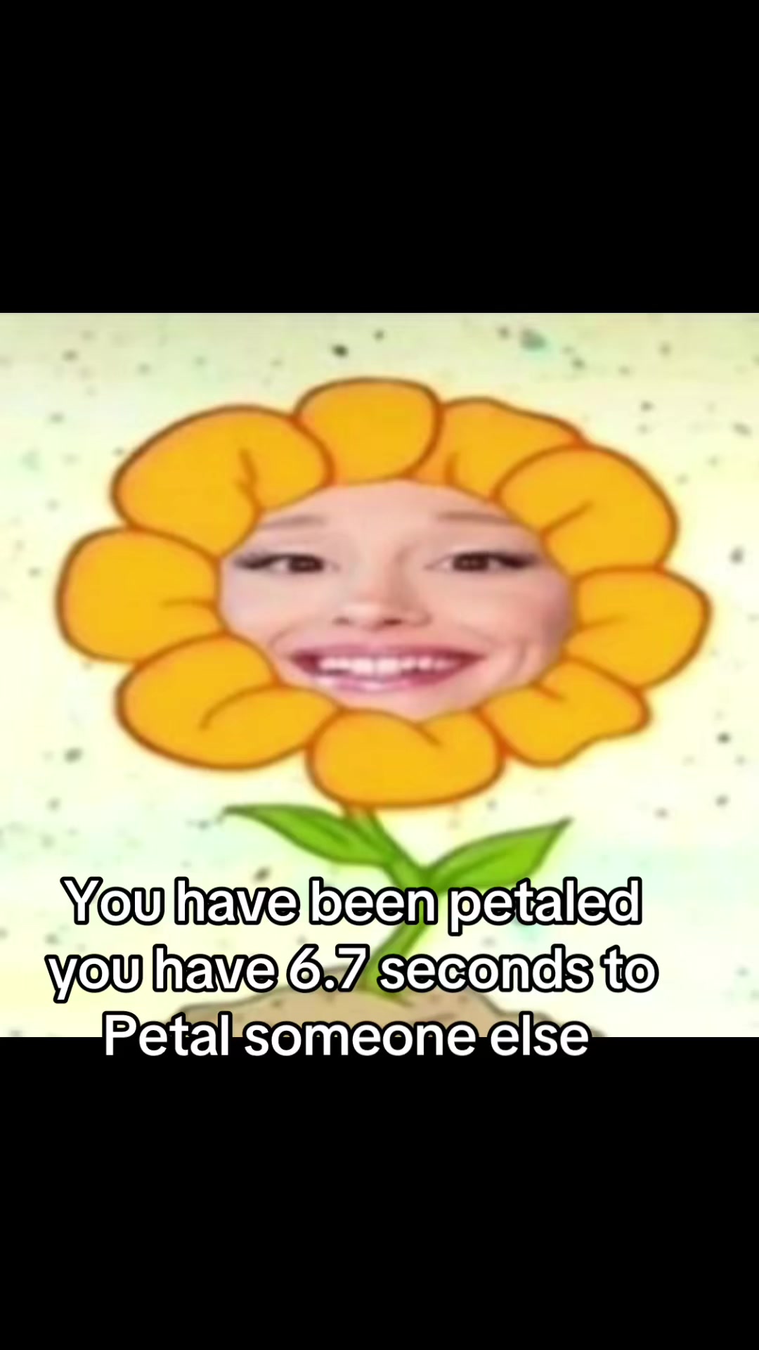 @๐ฟ๐๐๐๐ญ๐๐๐๐๐