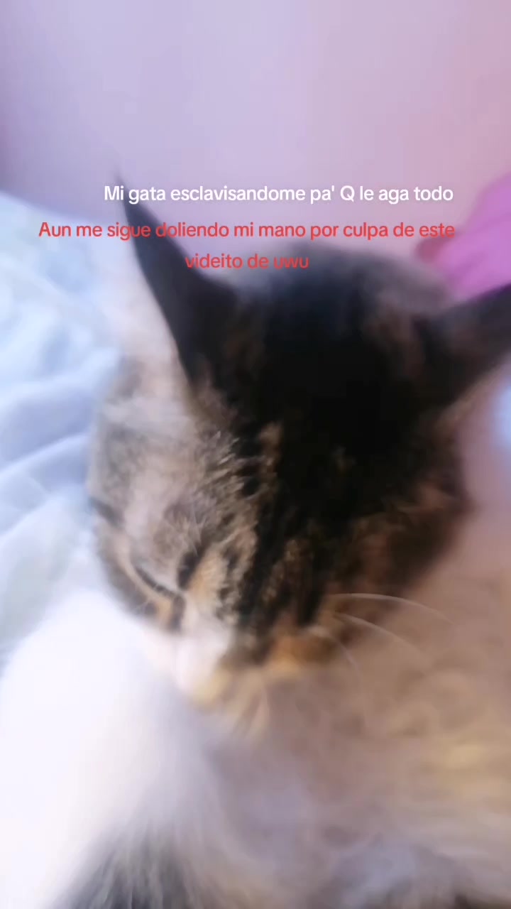 @GUZ