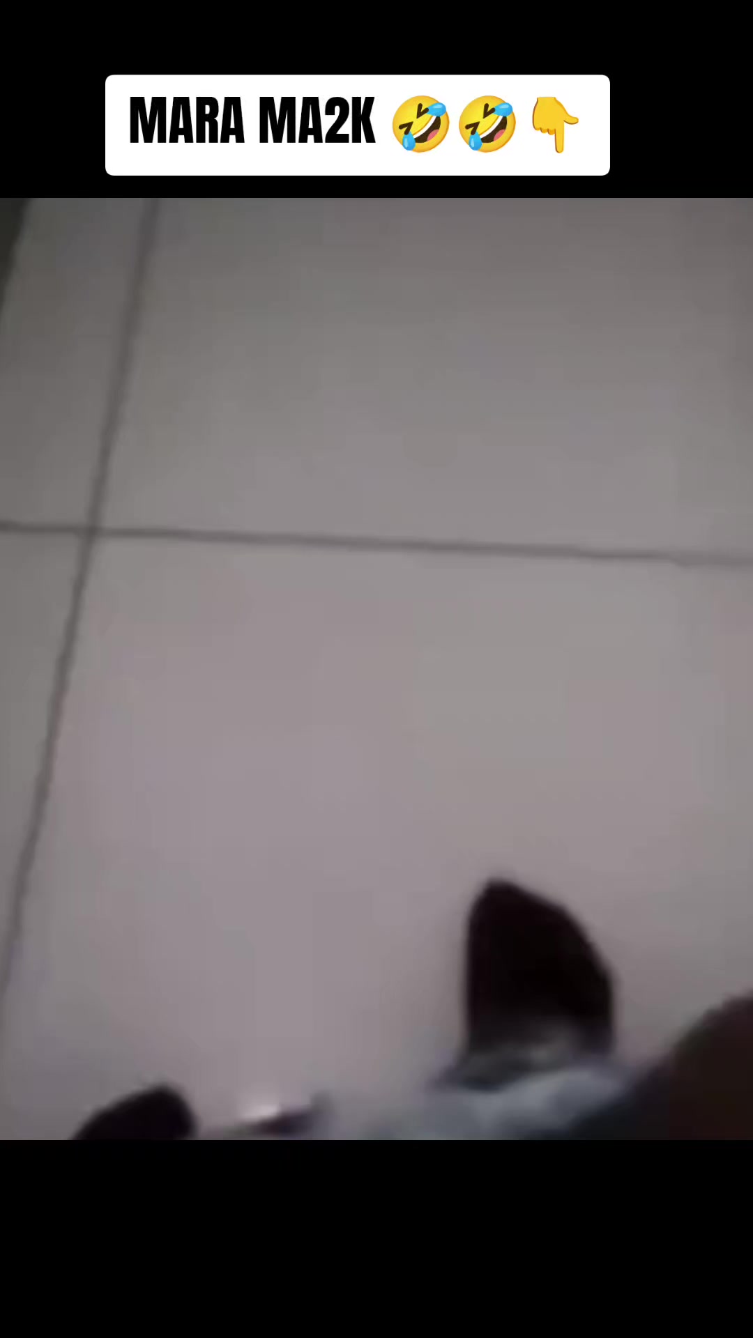 @Vnator33 SGORA