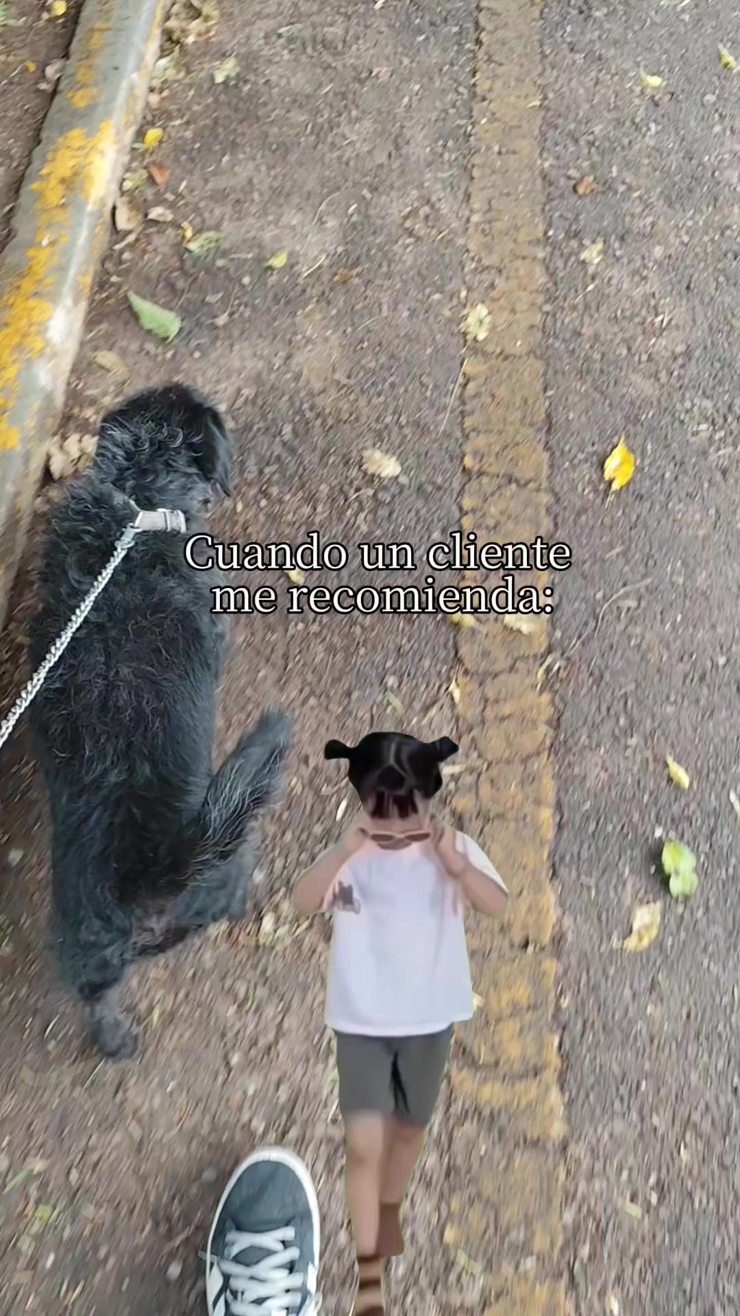 @DogWalkZacatecas&hearts;️🐕&zwj;🦺🌟