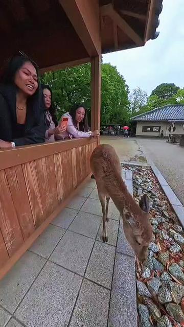 @🇵🇭🇵🇭Anna 🇦🇺🇦🇺🦘🦘🐨🌏