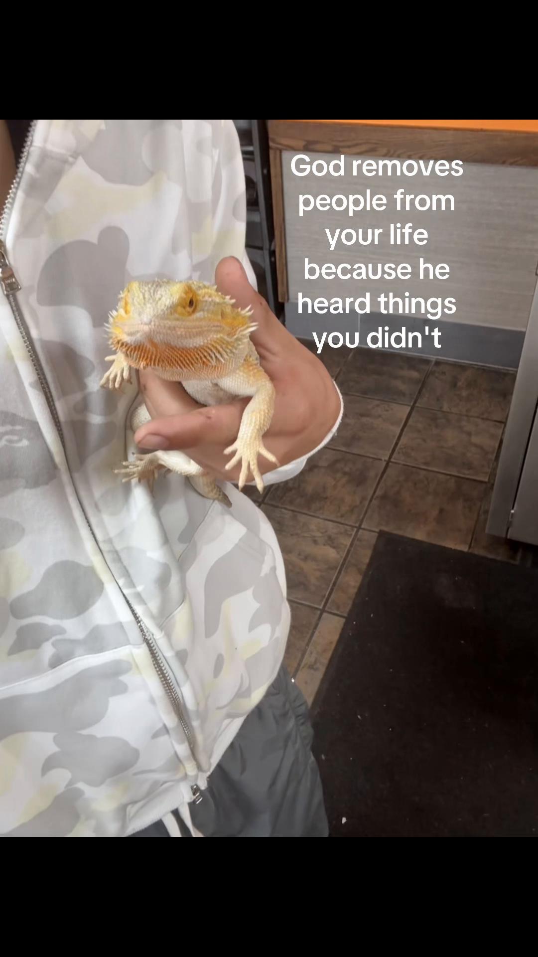 @████████