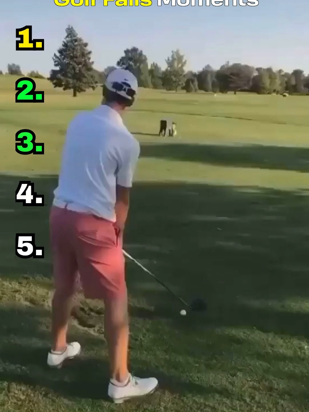 @funnyclipzzz715