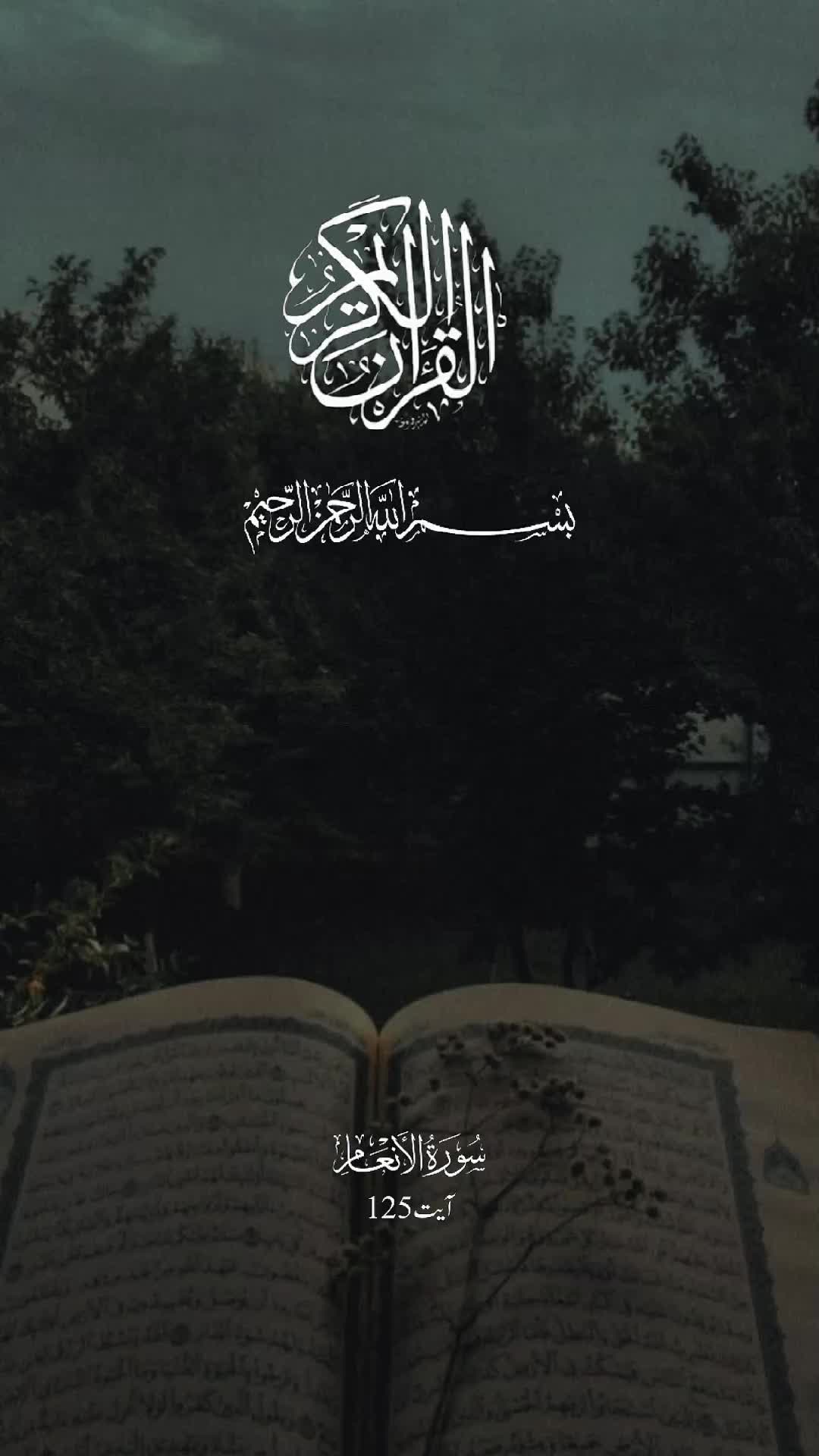 @💗Rana Asif Iqbal💗