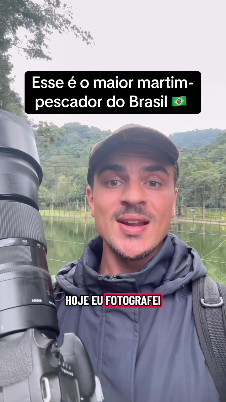 @Vinícius Köhn Pássaros