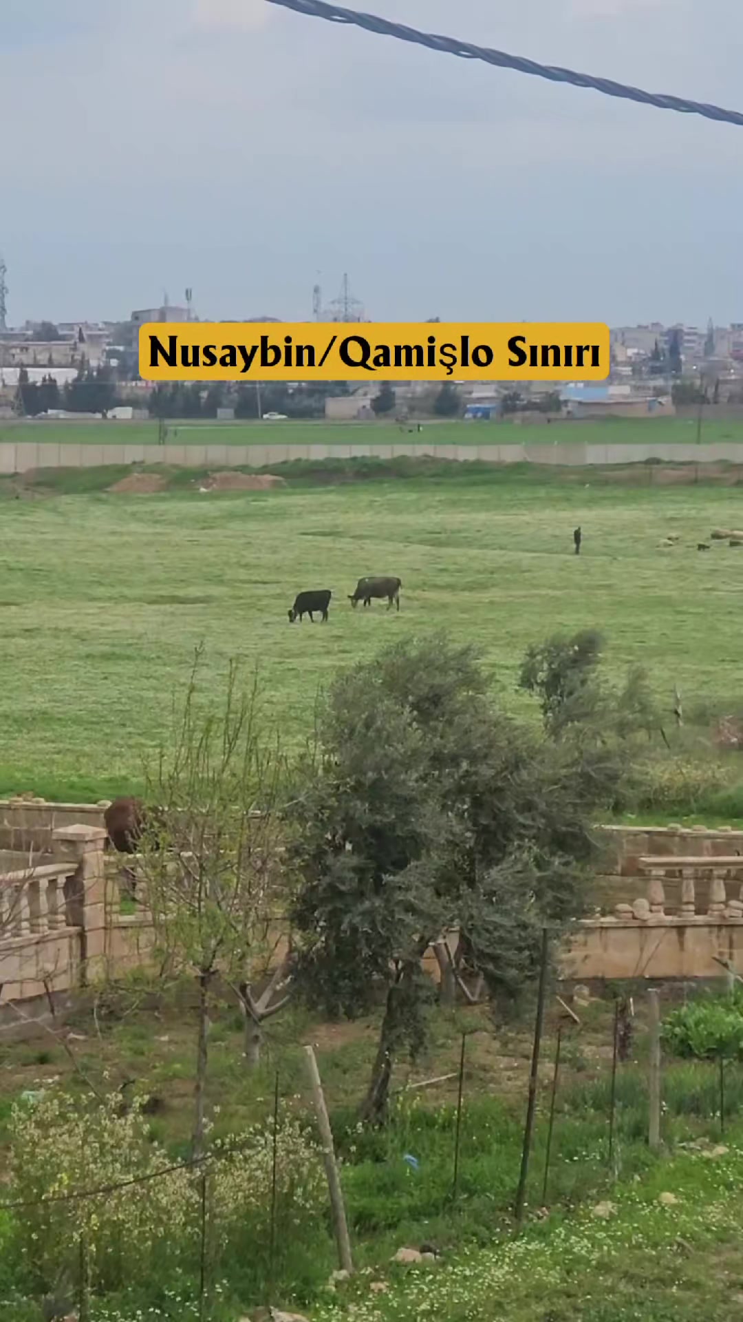 @Nusaybin Tanıtım