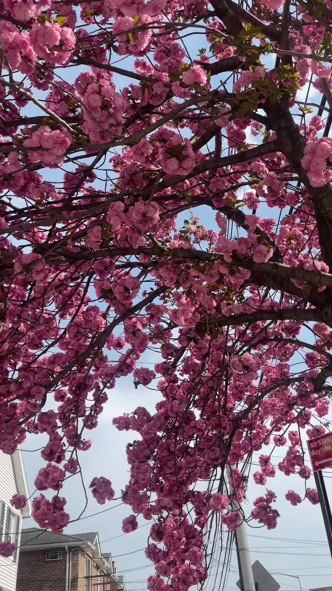 @kalpana❤️