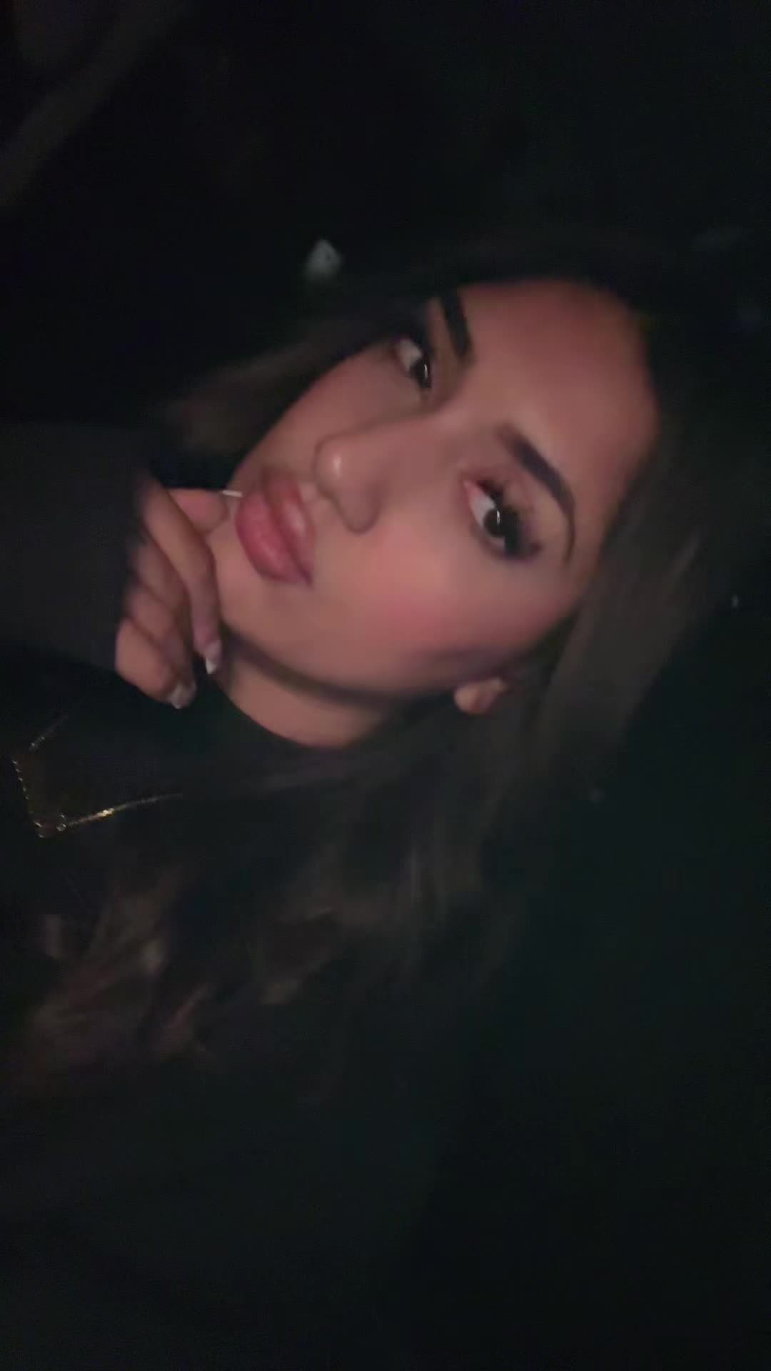 @persianmeowmeow2