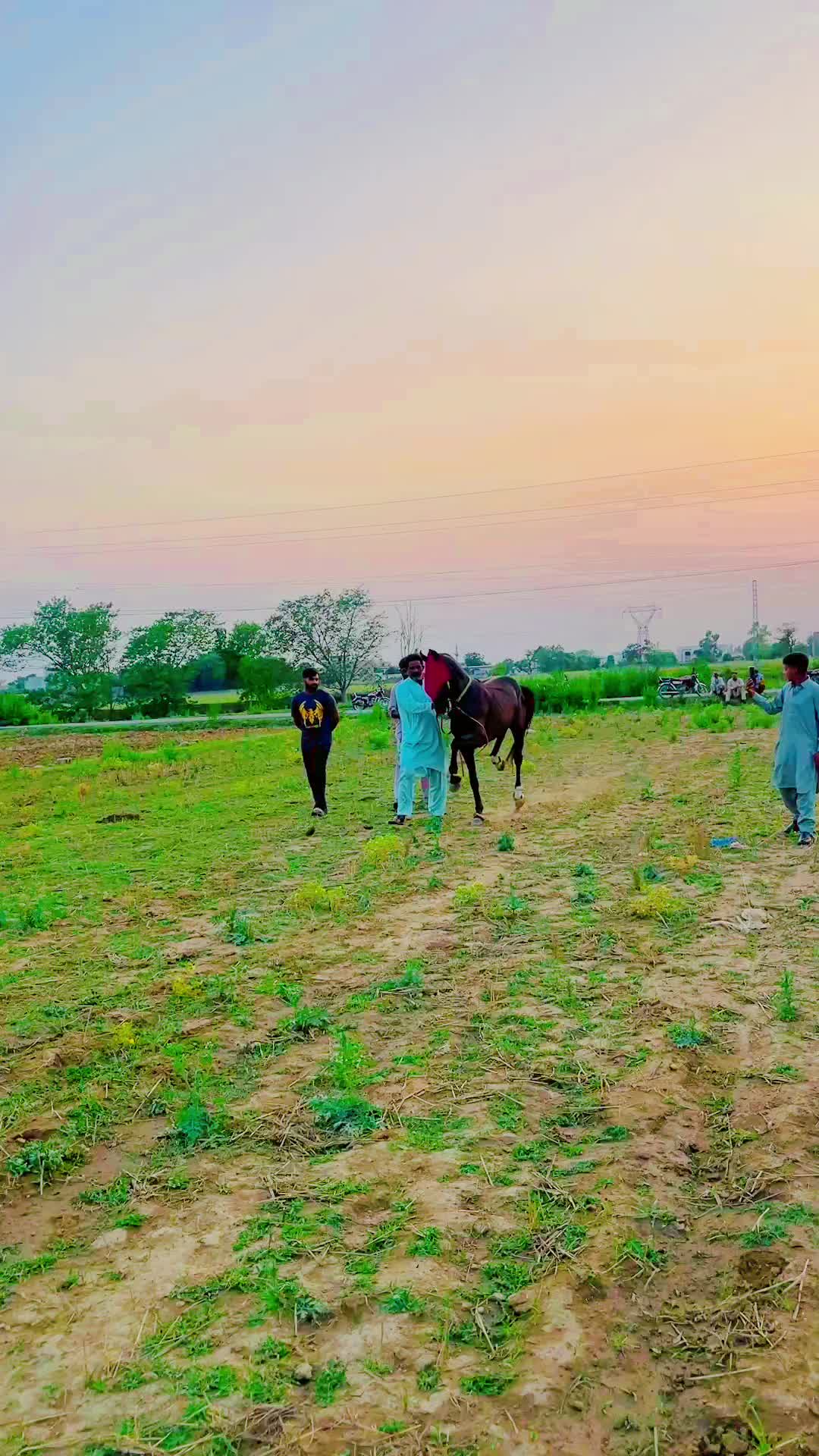 @Auon Abbas Rajput