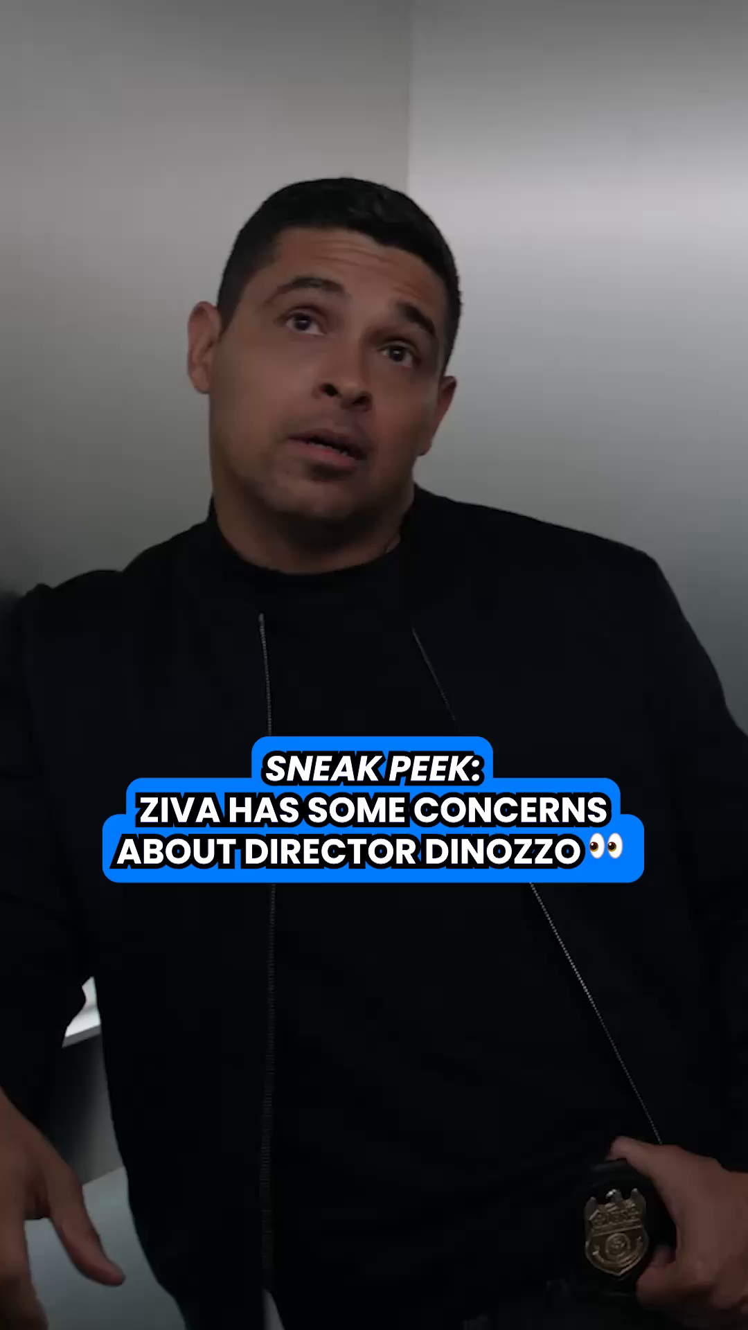 @The NCISverse