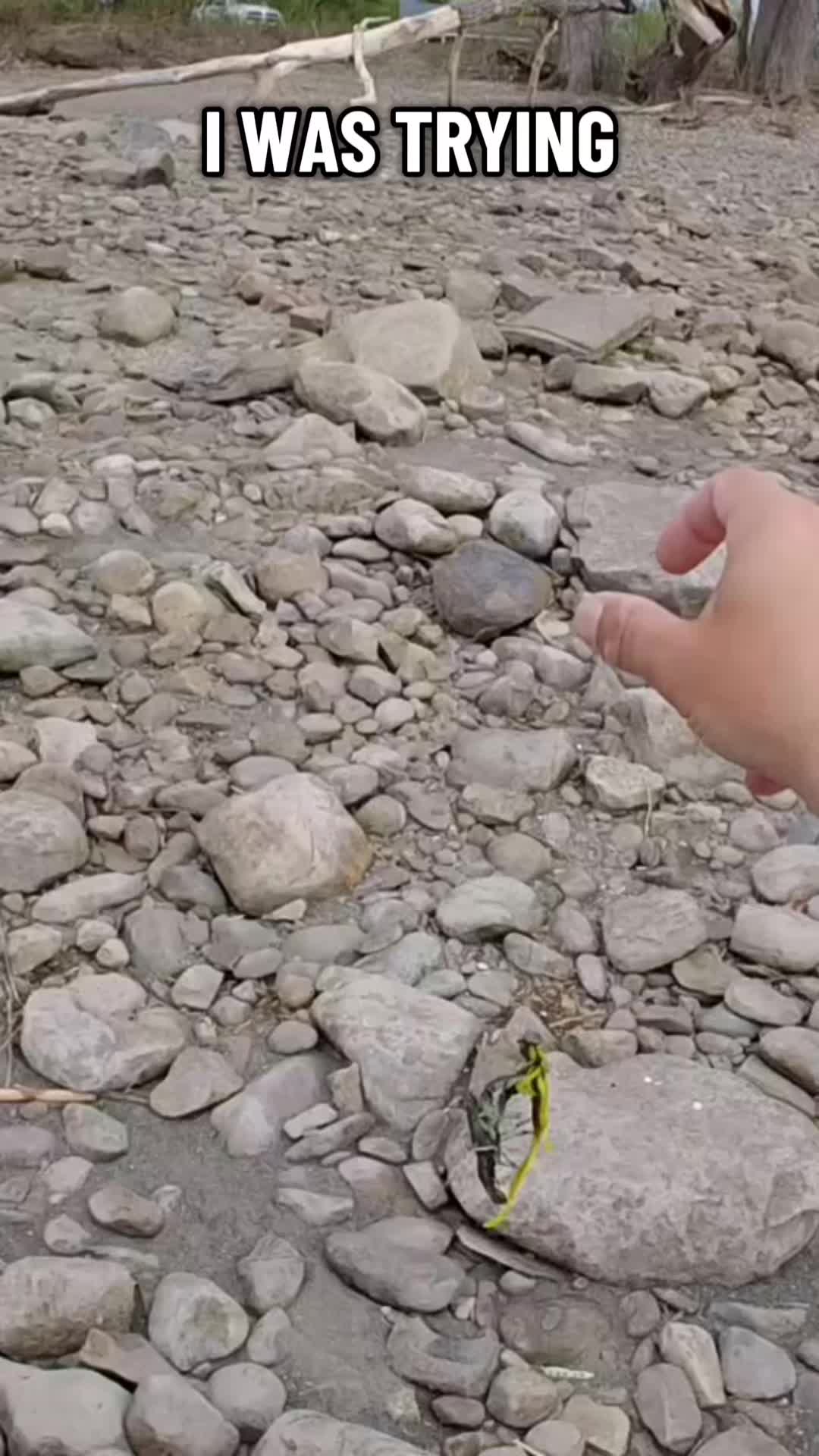@Creek Seeker Outdoors