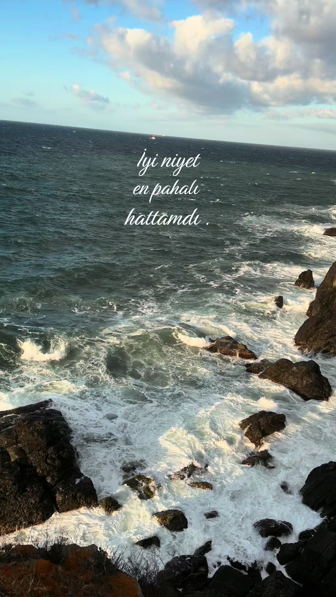 @ℳ ᥫ᭡