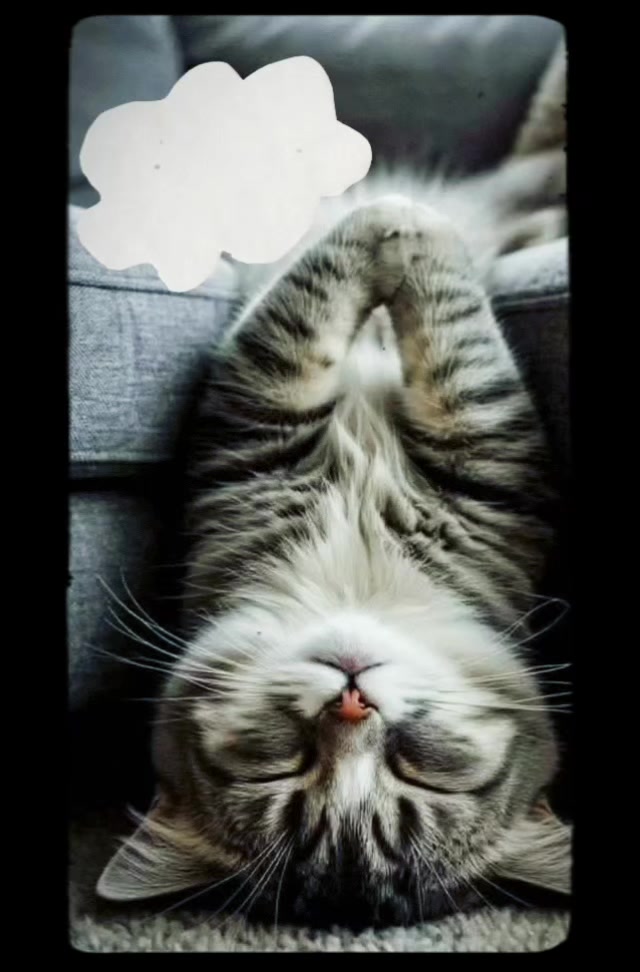 @@Juliagomez255
