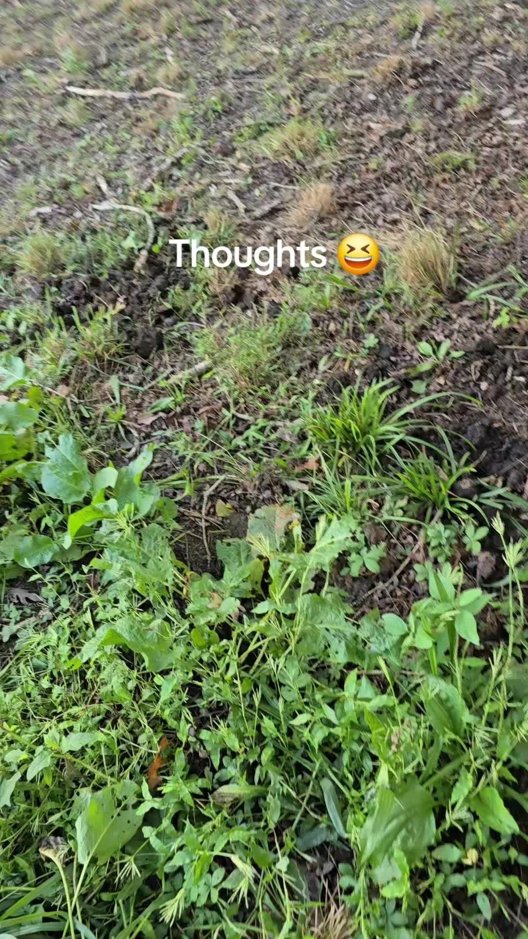 @BeeJaysBeforeBreakfast