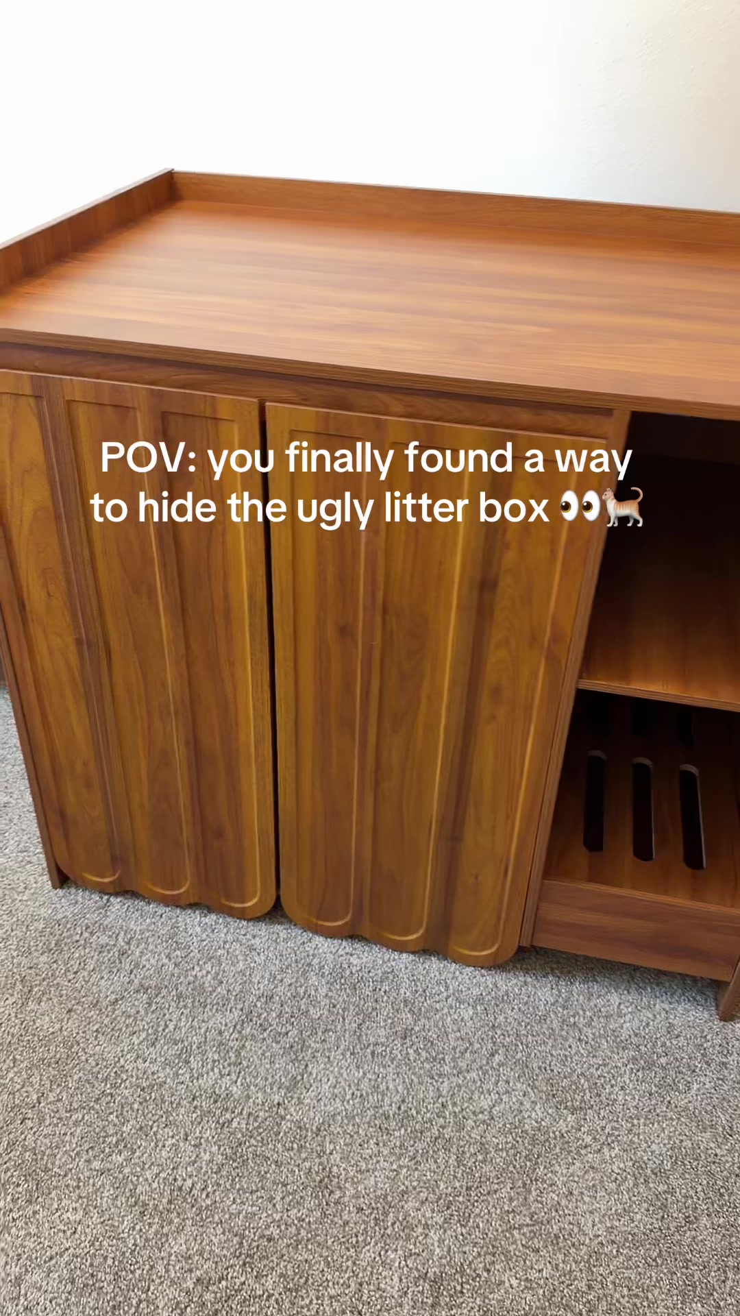 @Velvet Paws