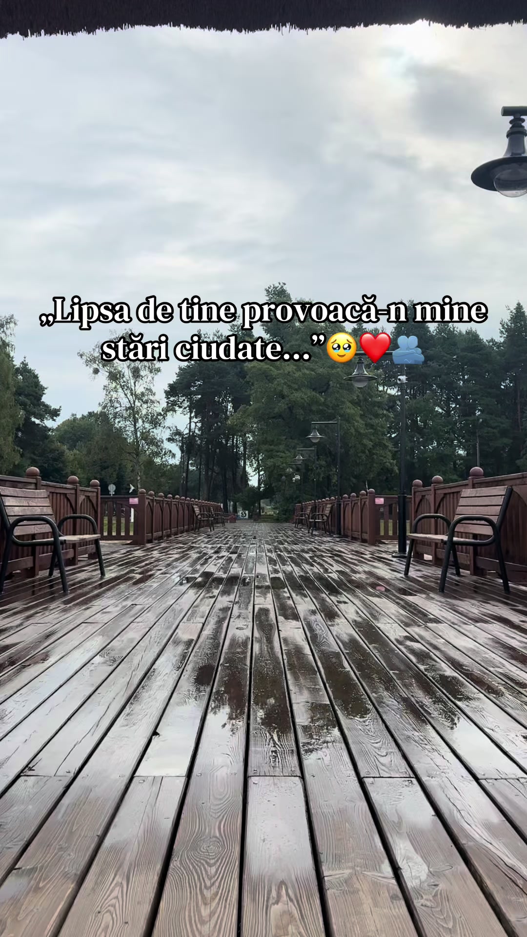@💕🎶𝚁.𝚘.𝚜.𝚜.𝚎.𝟷𝟽🎶💕