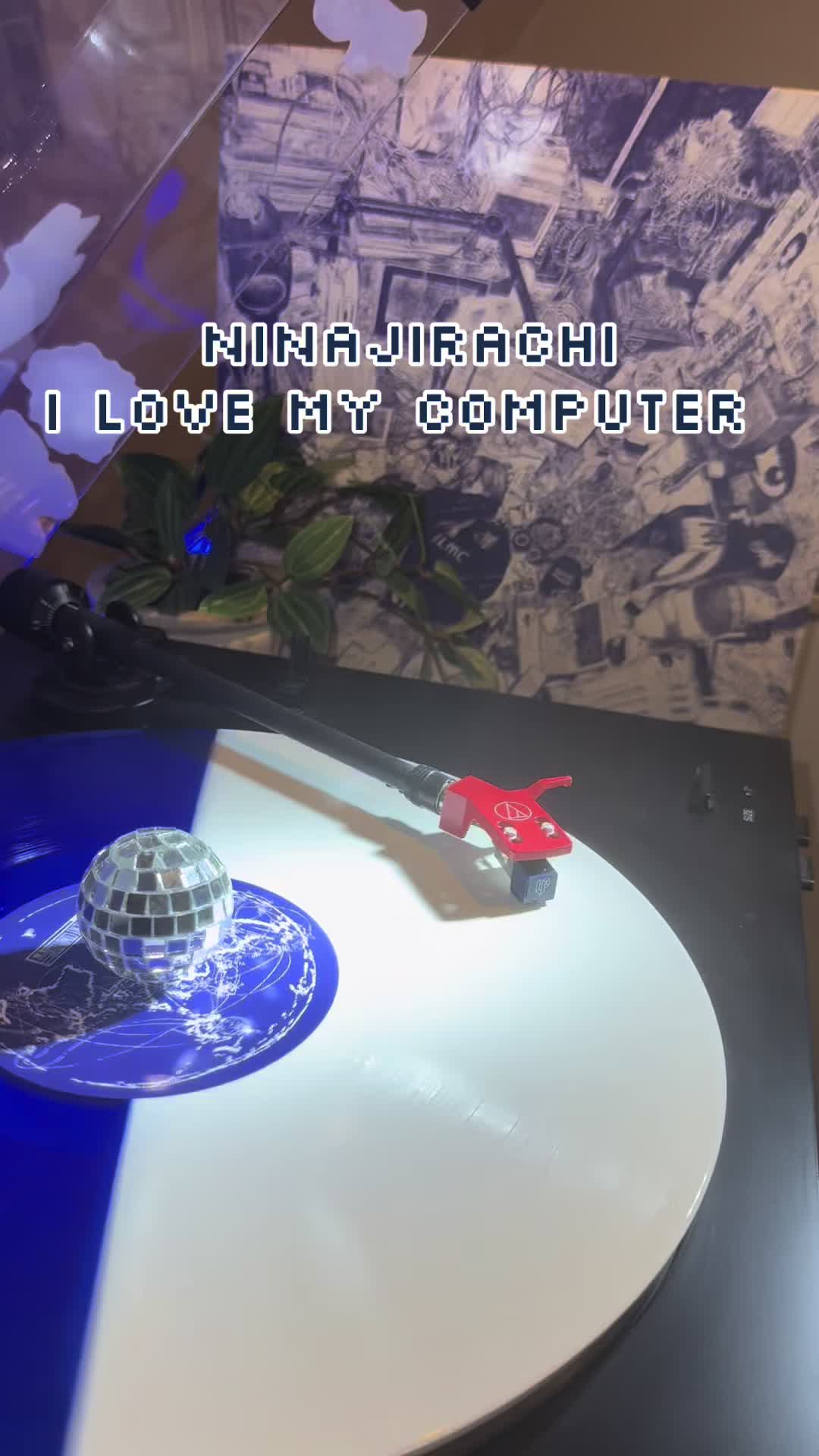 @vinylHemi
