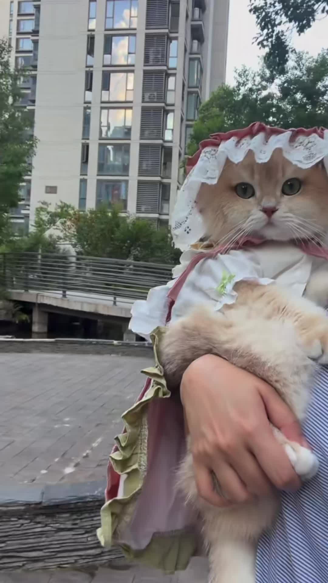 @My Daily Dose of Aww