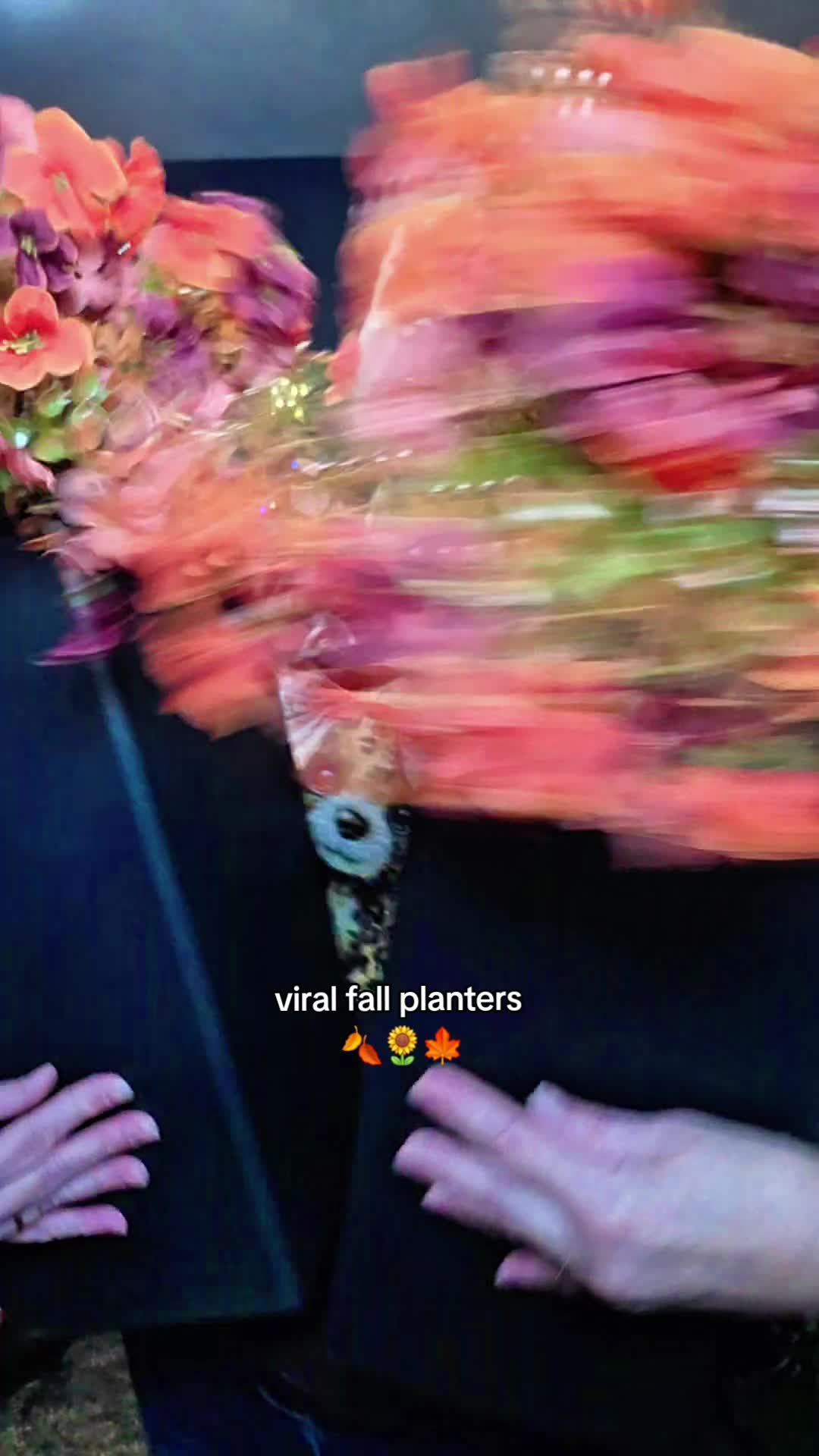 @Cathy (WB)