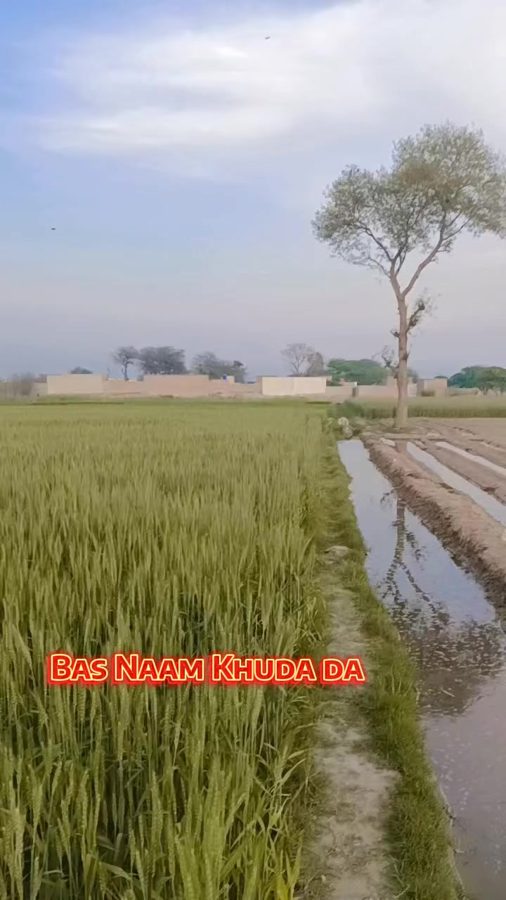 @ملنگ بابا