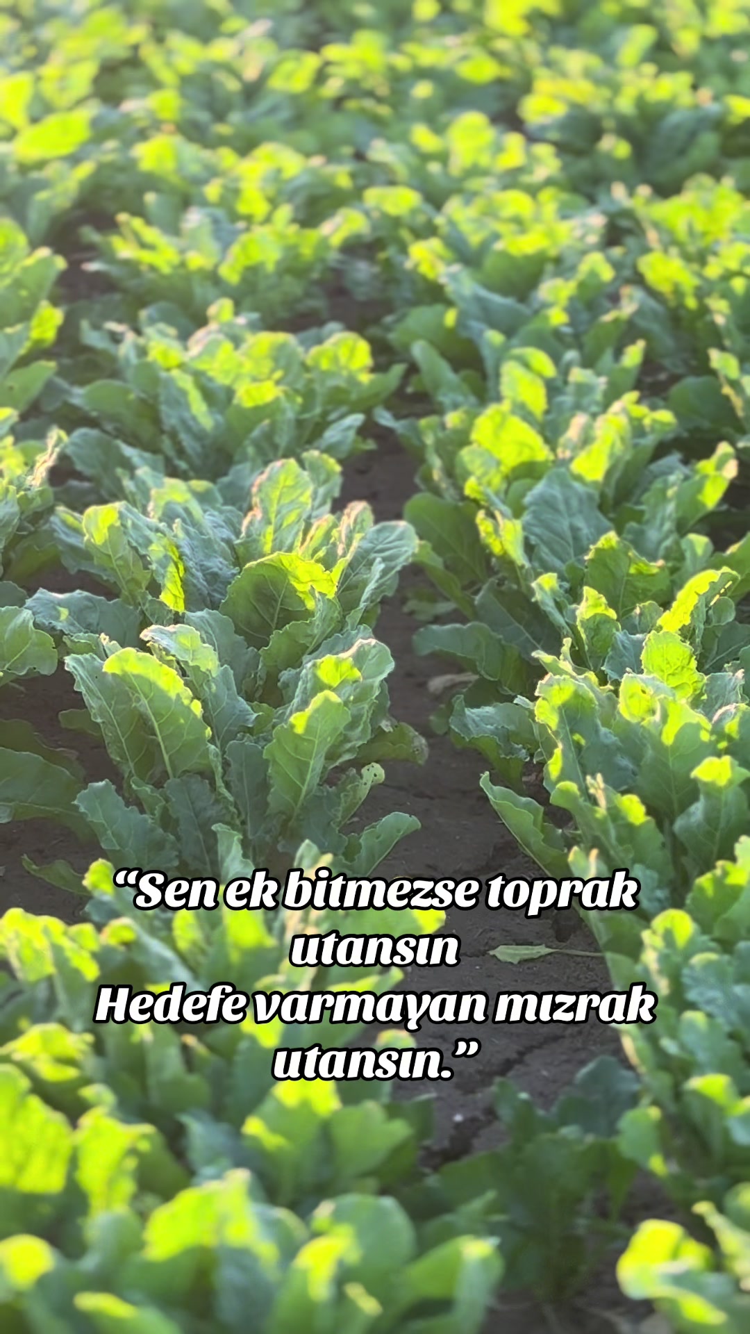 @Muaz Şahingöz 🦅