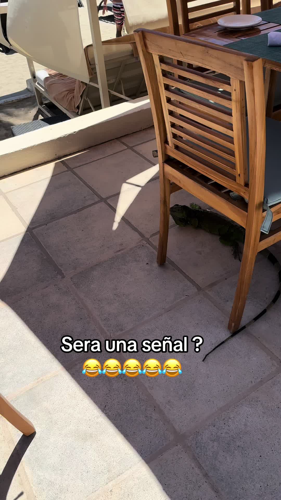 @Manuel Prieto