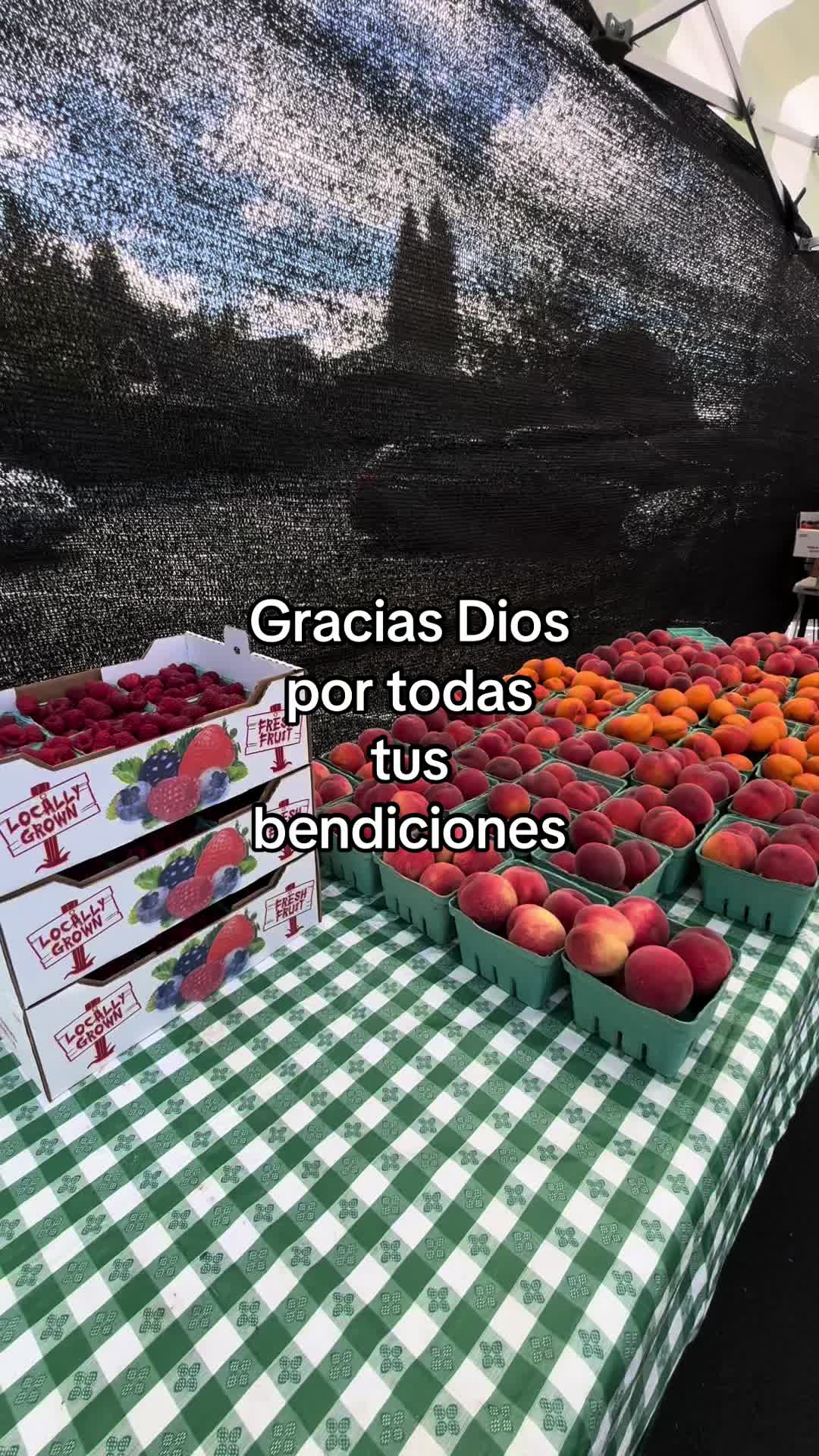 @💫⚡️✨👽pablocarbajal63👽✨⚡️💫