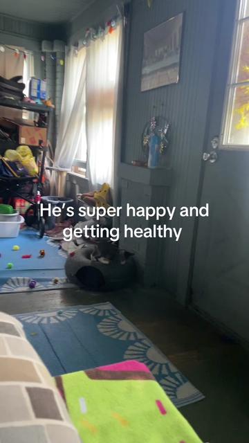 @Shycrybaby