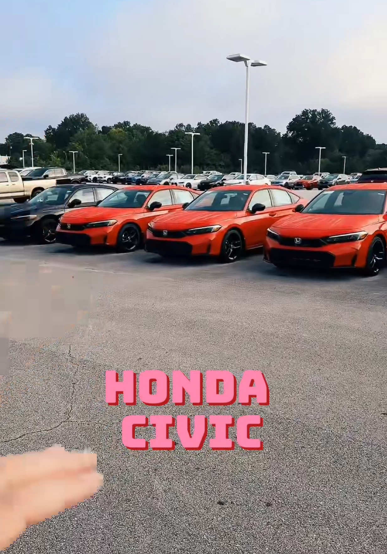 @hobblyknowsbest