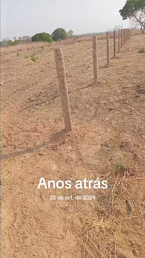 @mario Ferreira